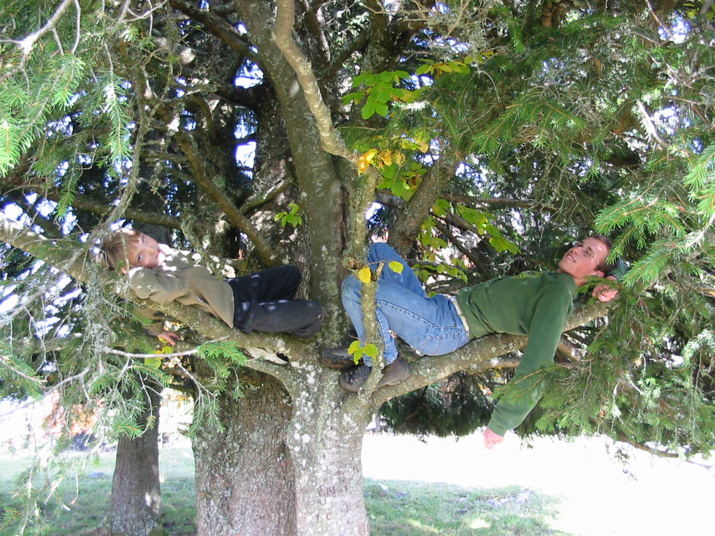 Sieste bien m�rit�e dans un arbre!